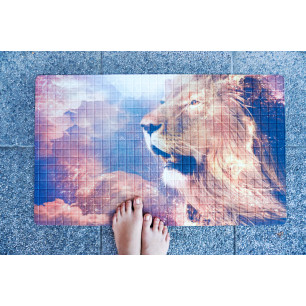 Rohožka - Lion, 45x75 cm