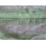 Voálová záclona 960-01 zelená 160x195cm